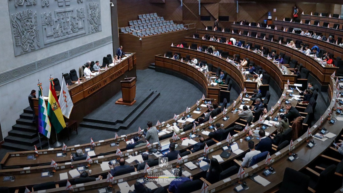 Sesión de la Cámara de Diputados. Foto: Diputados