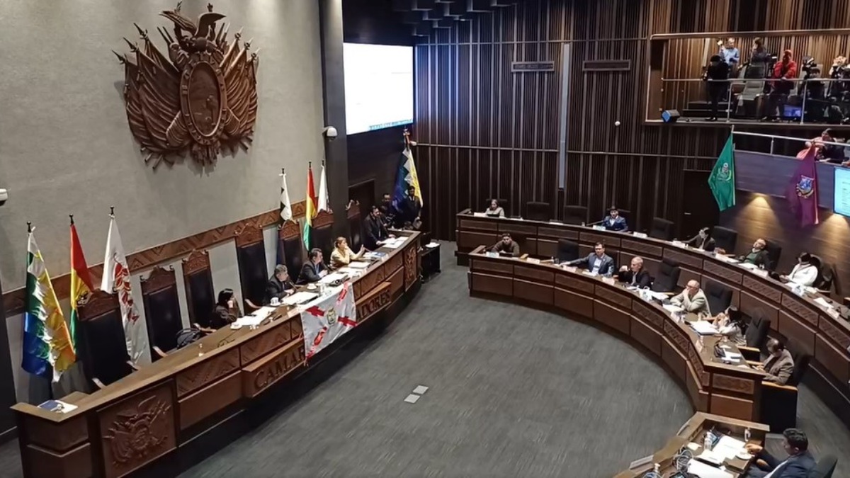 Sesión de la Cámara de Senadores. Foto: Captura