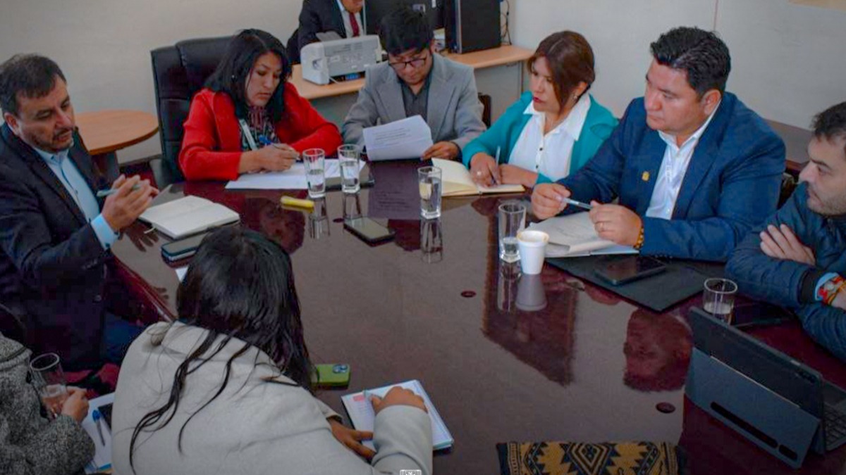 Sesión de la comisión especial que investiga la mala calidad de combustible. Foto: Diputados