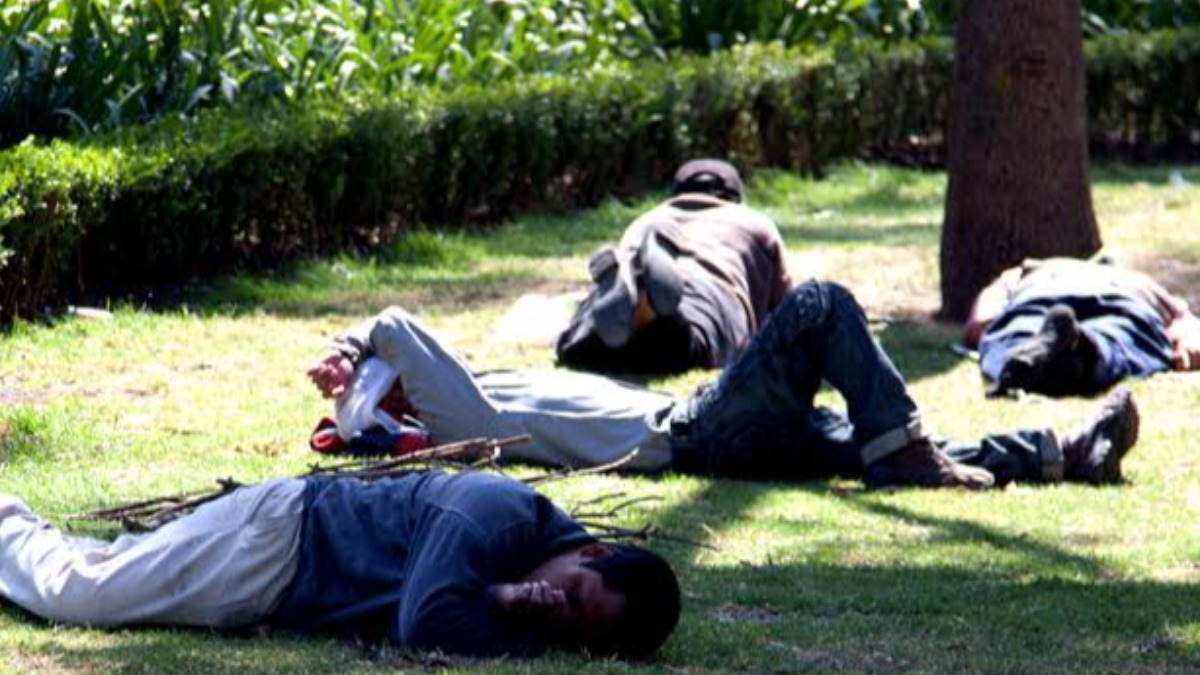 Un grupo de jóvenes en un parque.