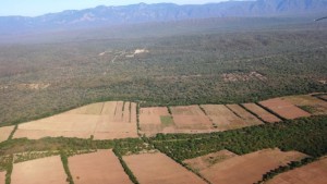 Ampliación de la frontera agrícola con productos de exportación. Foto: La Región