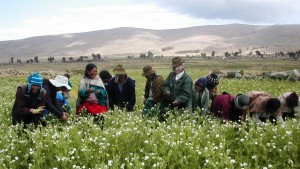 Imagen referencial, pequeños productores.