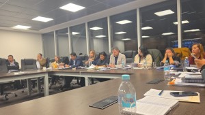 El pleno del Senado en la sesión de este jueves 4 de junio
