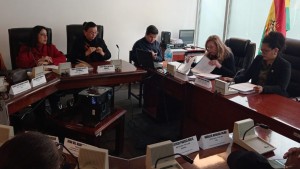 La comisión de Constitución de la Cámara Baja debatió el proyecto de ley. Foto: Diputados