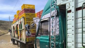 Se perdieron 70.000 pollos por en ese punto de bloqueo. Foto: Cortesía