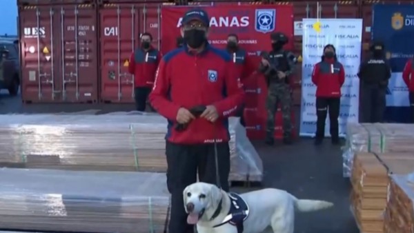 Agentes de Chile custodian una carga de madera impregnada de cocaína