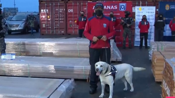 Can antidroga en el operativo de detección de madera boliviana impregnada con droga. Foto: Chilevisión