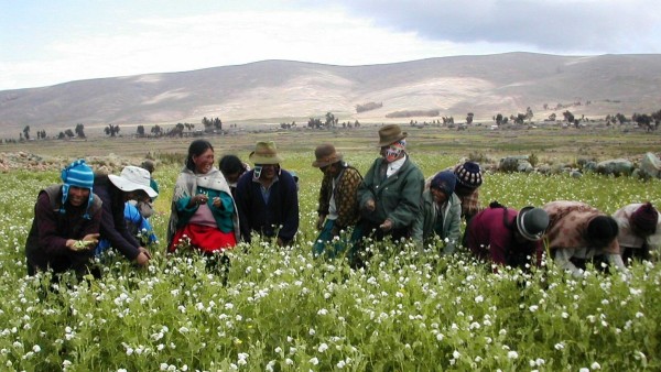 Imagen referencial, pequeños productores.