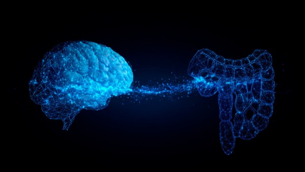 La relación entre alimentación y emociones dejó de ser una percepción subjetiva para convertirse en un campo de investigación.  Foto: Unifranz