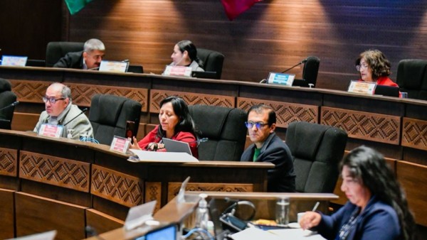 Los senadores acordaron la formación de una comisión para investigar las daños causados por las protestas