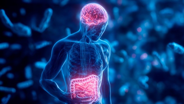 Los trastornos de interacción intestino-cerebro afectan a más del 40% de la población mundial y son más frecuentes en mujeres.   Foto: Unifranz