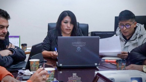Sesión de la comisión especial de investigación. Foto: Diputados