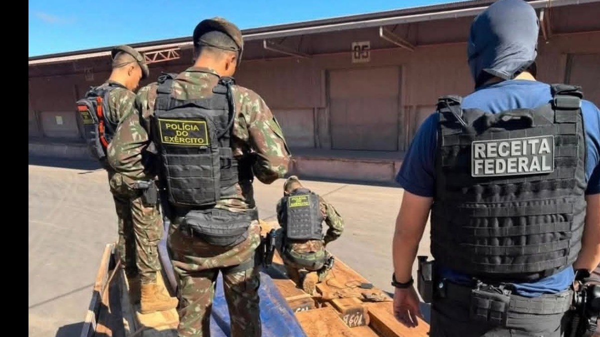 Agentes de Brasil decomisan madera exportada por Bolivia