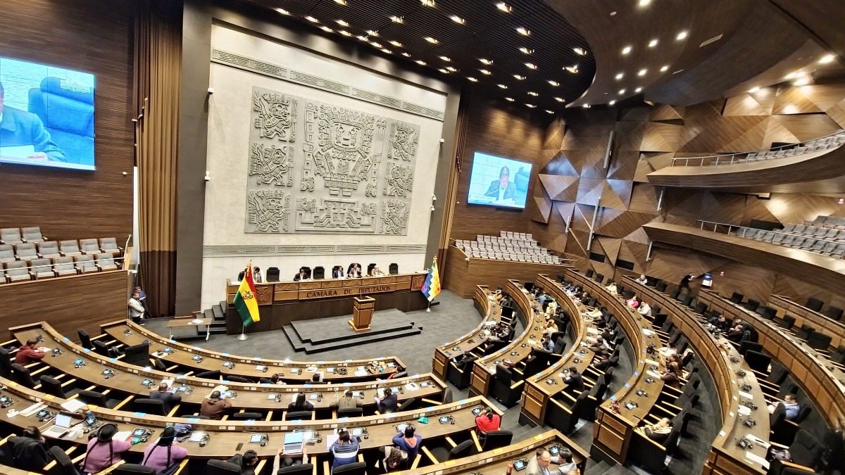 Foto: Cámara de Diputados