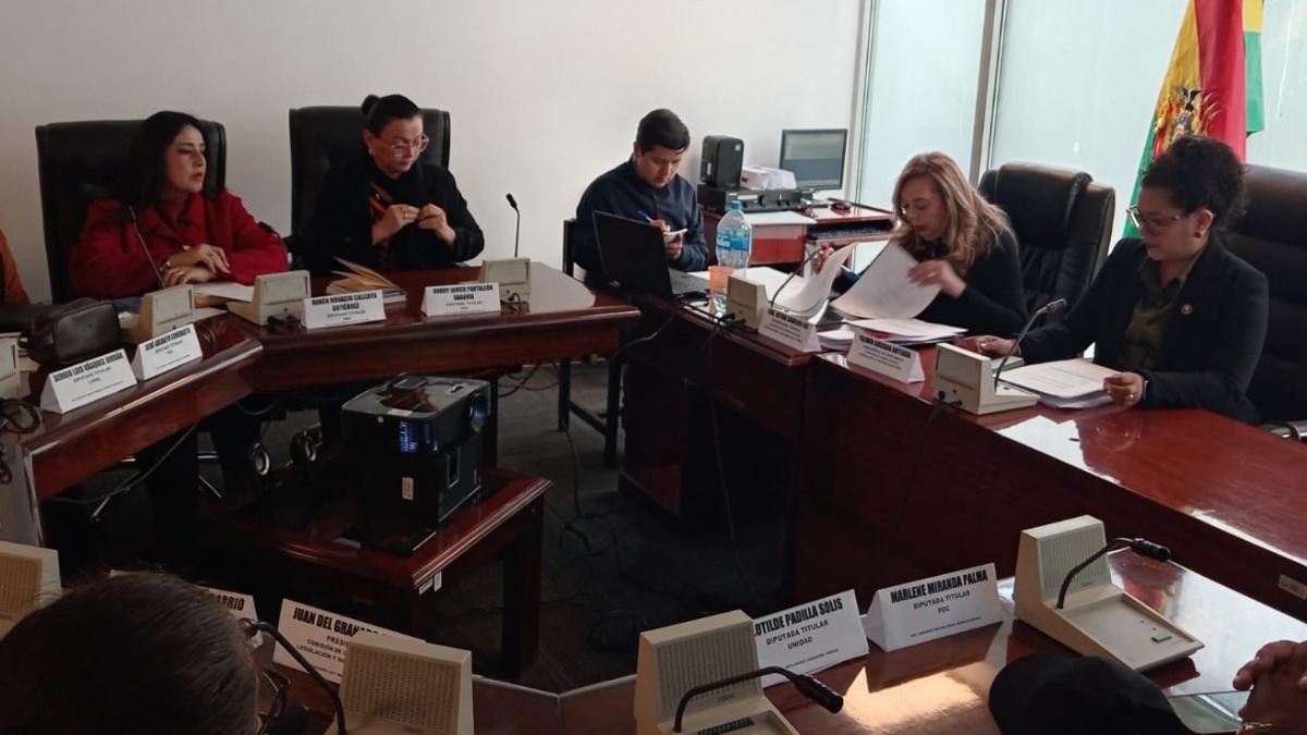 La comisión de Constitución de la Cámara Baja debatió el proyecto de ley. Foto: Diputados