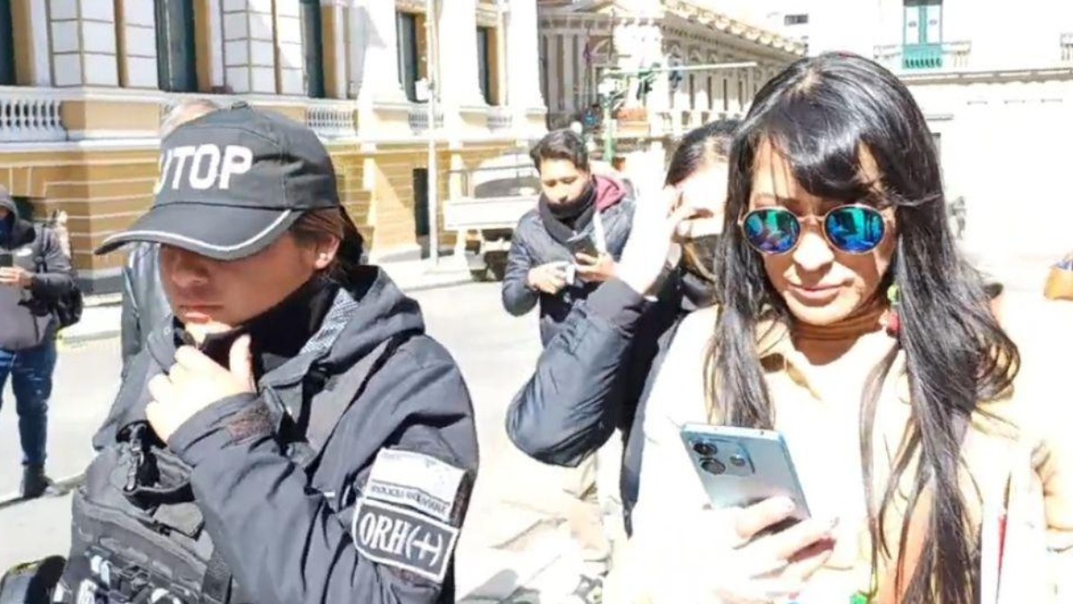 La exministra fue aprehendida en la plaza Murillo. Foto: RRSS