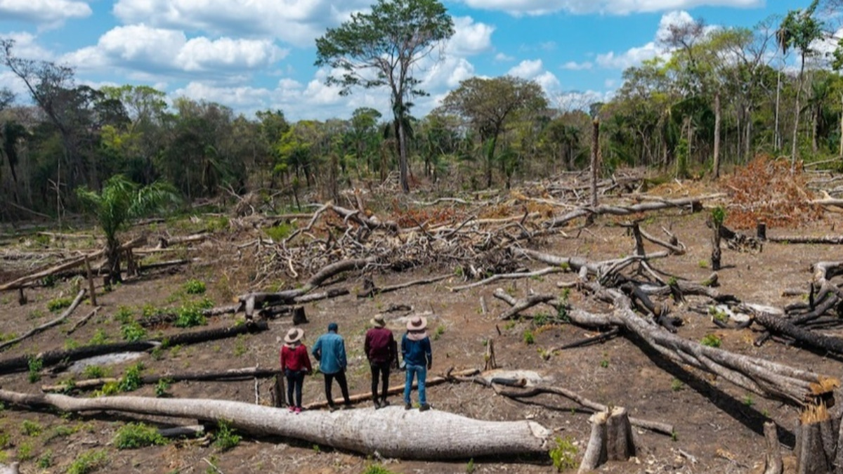 los avasallamientos son una amenaza recurrente para los pueblos indígenas amazónicos. Foto:  Edy Yobanny Velasco