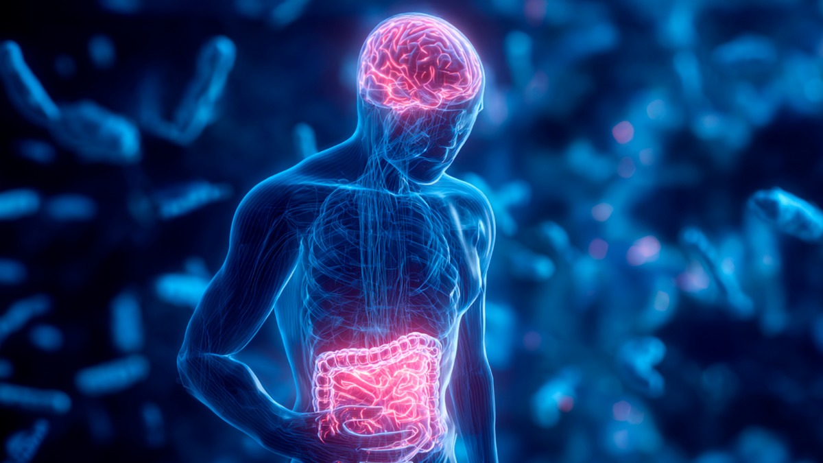 Los trastornos de interacción intestino-cerebro afectan a más del 40% de la población mundial y son más frecuentes en mujeres.   Foto: Unifranz