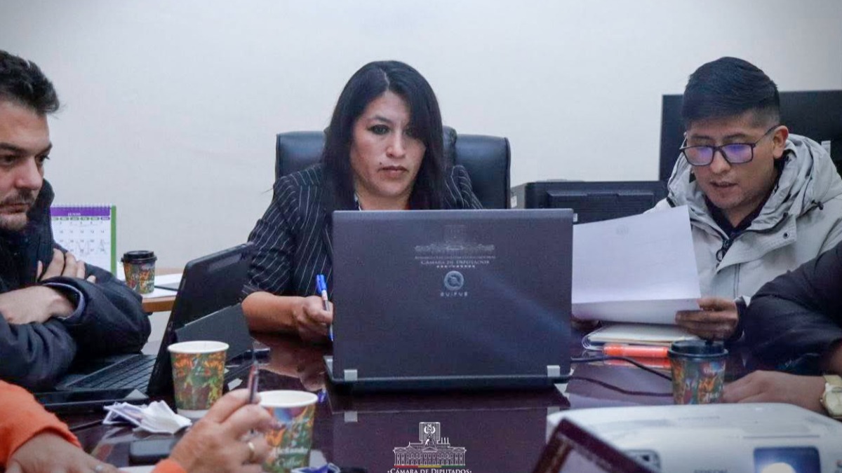Sesión de la comisión especial de investigación. Foto: Diputados