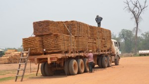 Cámara Forestal alerta pérdidas por $us 16 millones y exportaciones en mínimos históricos. Foto: Cámara Forestal