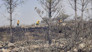 Comunidad de Pinos Sud en Tarija. Foto: GAMT