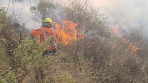 Incendio forestal en la serranía de Sama. Foto: Gobernación de Tarija.