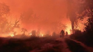 Defensoría del Pueblo urge al Gobierno para prevenir una nueva crisis de incendios forestales