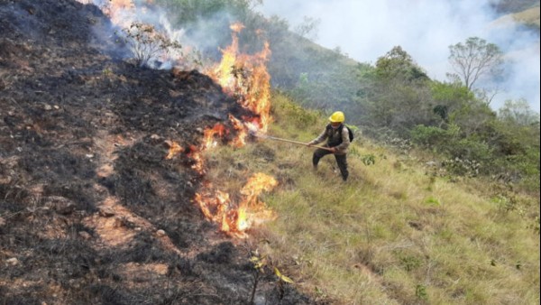 Bomberos combaten el fuego en el parque Noel Kempff Mercado. Foto: Archivo 2025 Min.Medio Ambiente
