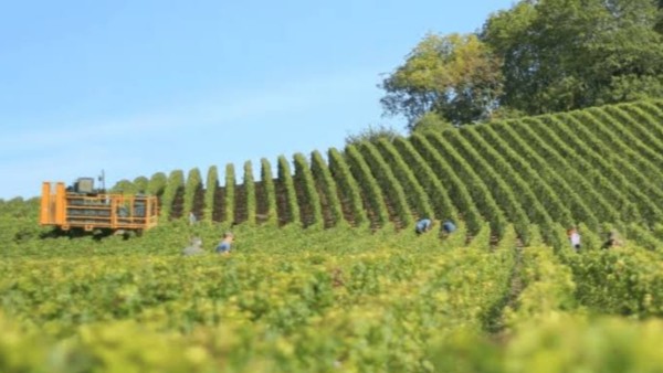 Foto: AgroSinergia
