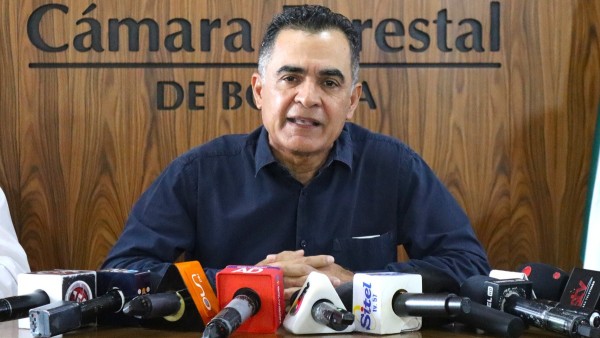 Prresidente de la Cámara Forestal de Bolivia, Pedro Colanzi. Foto: Gentileza.