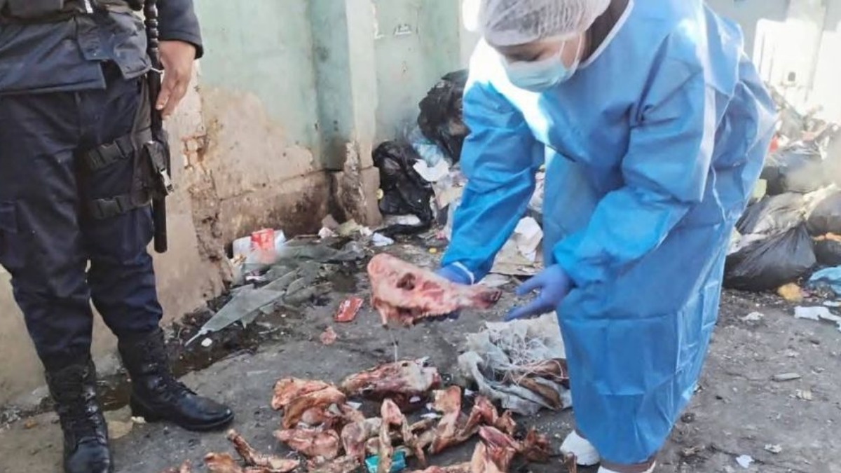 Análisis de restos de animales confirman que se vendió carne de perro durante los bloqueos. Foto. RRSS.