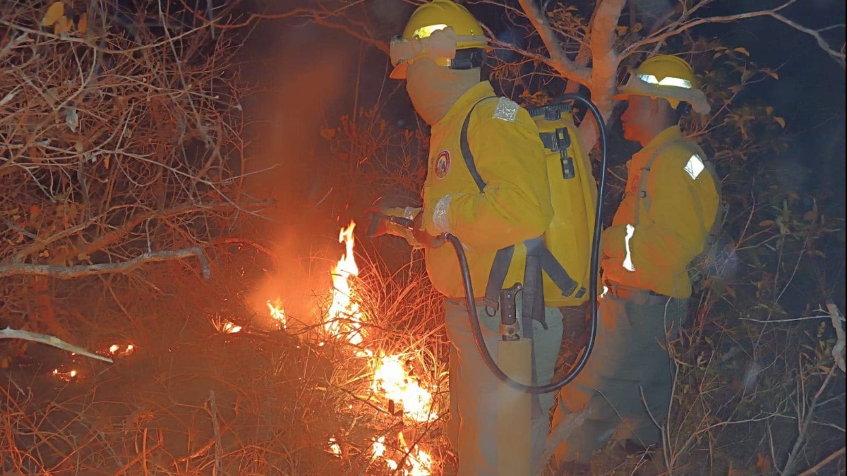 En 2024, San José de Chiquitos fue afectado por los incendios. Foto: Gobernación de Santa Cruz
