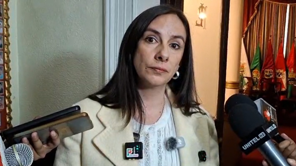 La diputada de Alianza Unidad, Andrea Ballivián. Foto: Captura de video