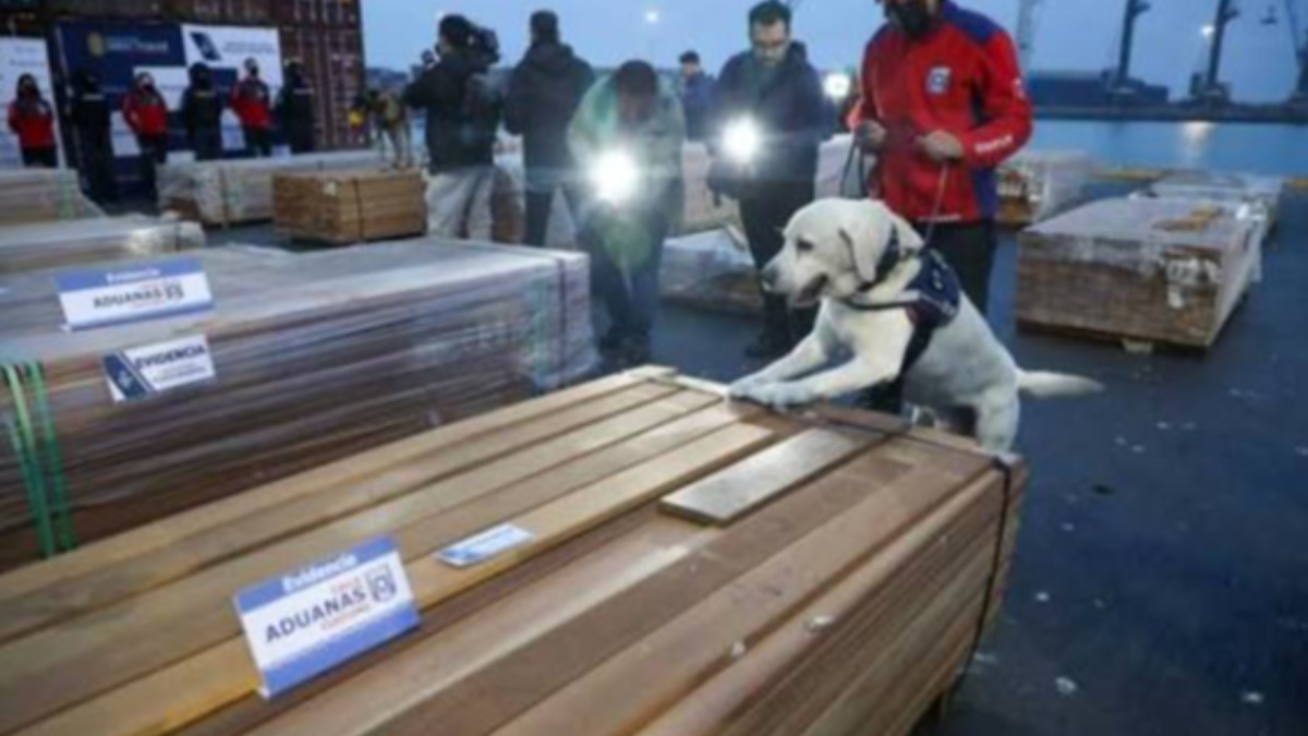 La Fiscalía de Chile en junio informó del mayor golpe al narcotráfico. Foto: Internet