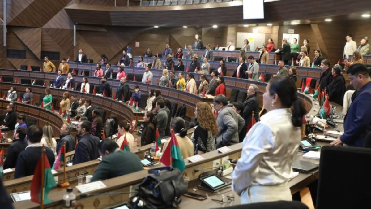 Sesión plenaria de la Cámara de Diputados. Foto: Internet